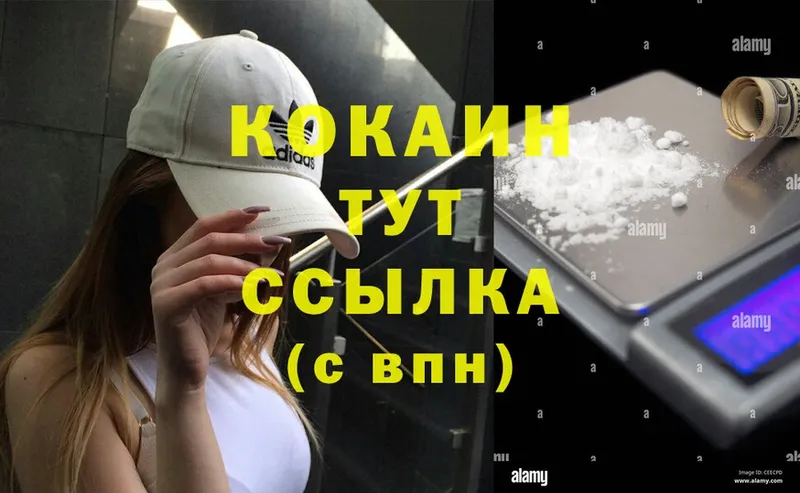 где можно купить   Удомля  Cocaine 99% 